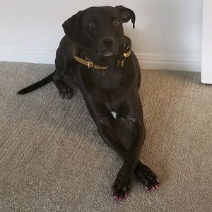 Meet your Posher, Heidi